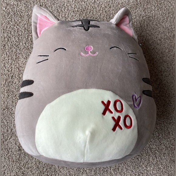 Carson the grey tabby cat with xoxo - Picture 1 of 2